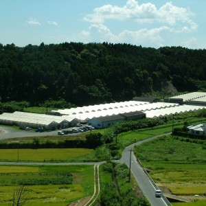 株式会社久保水産　大崎養鰻場