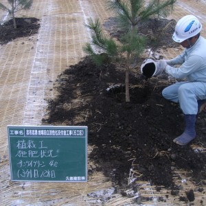 志布志港地域自立・活性化交付金工事（6工区）