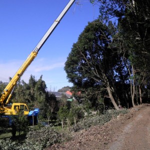 県営農村振興総合整備事業大崎地区２６－２工区