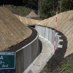 農村地域防災減災事業(シラス)西中沖地区繰30-2工区