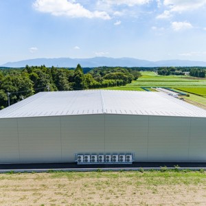 株式会社ベジタブルランド鹿児島