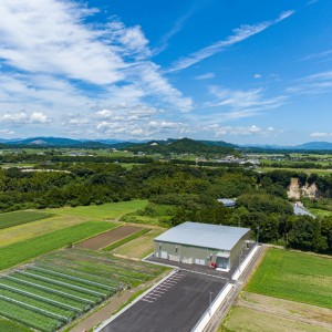 株式会社ベジタブルランド鹿児島