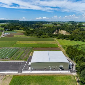 株式会社ベジタブルランド鹿児島